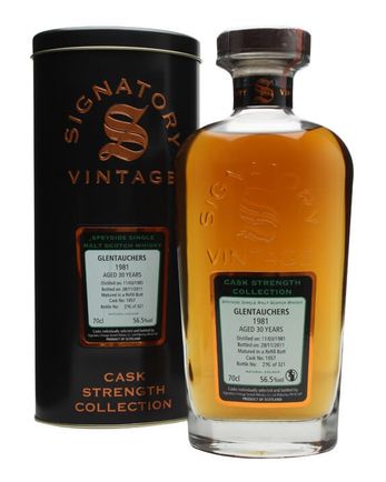 Glentauchers 1981 30 ans Cask #1057 Signatory Cask Strength Collection